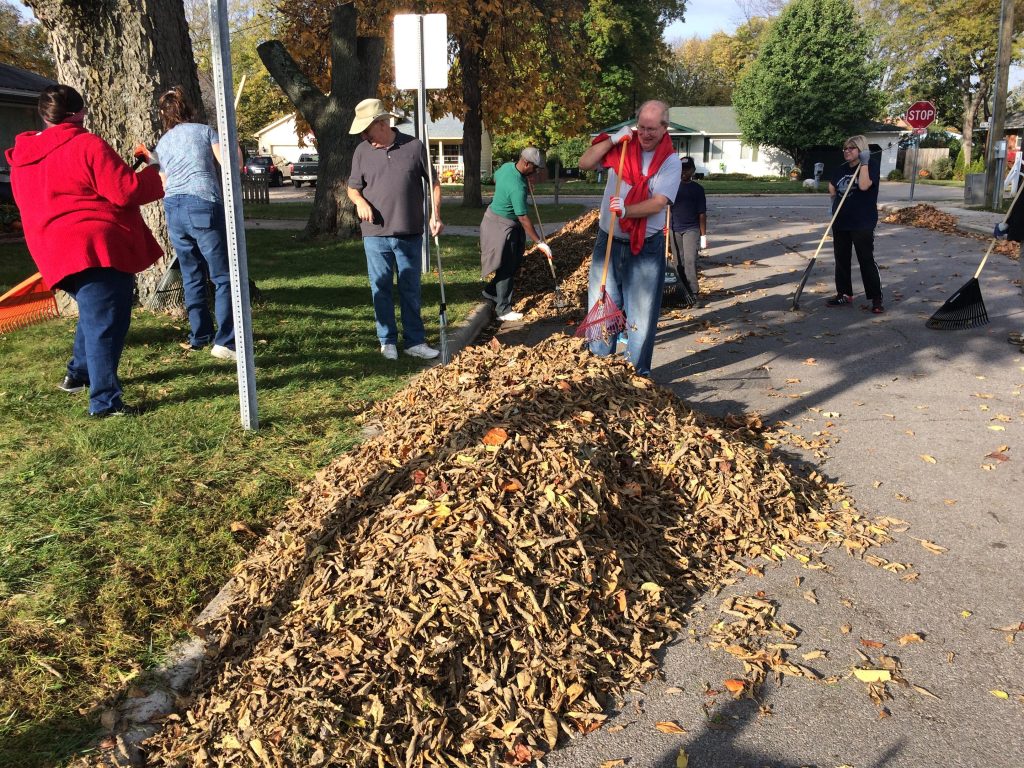 Rake-n-Run Service Project 2016